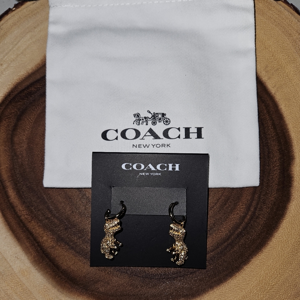 Reserved Coach Pavé Rexy Huggie Earrings With Dust Bag New - Picture 5 of 5